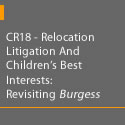 Click to read more about Child Custody.